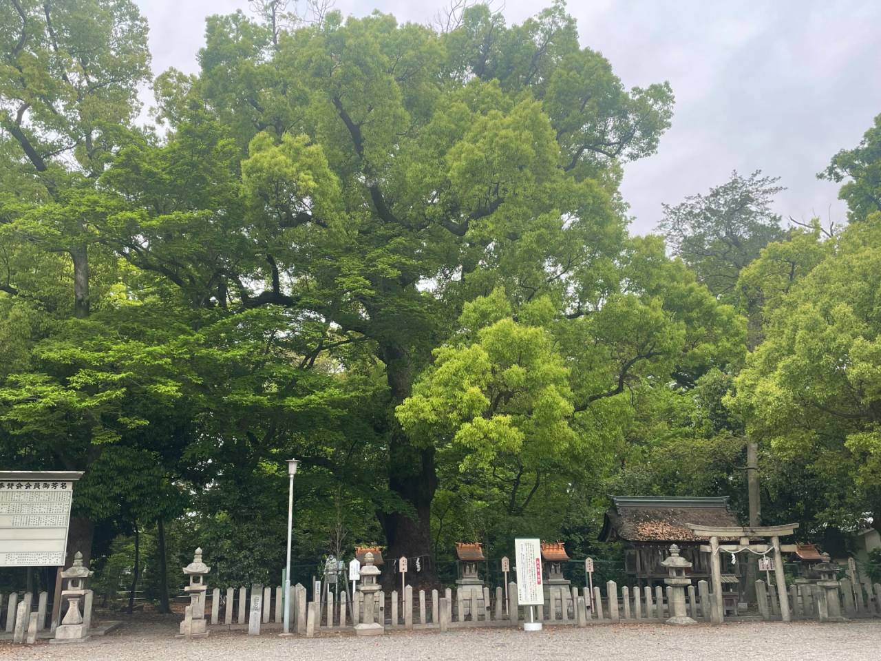 【五大力 石守】